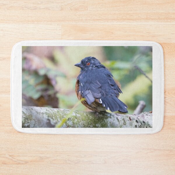 Item preview, Spotted Towhee designed and sold by LaurenTucker.
