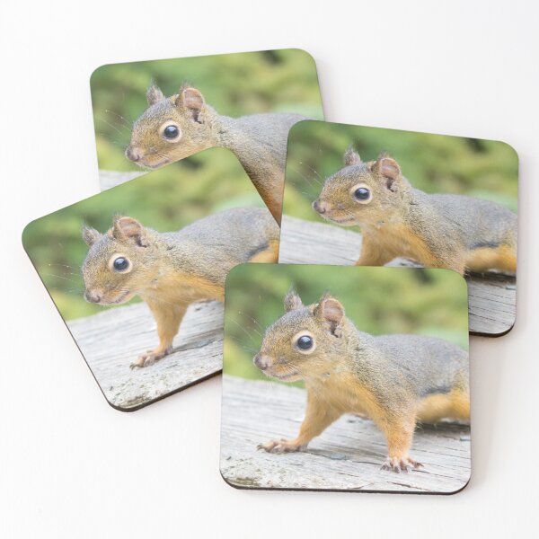 Item preview, Douglas Squirrel designed and sold by LaurenTucker.