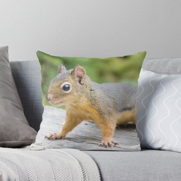 Item preview, Ardilla de Douglas designed and sold by LaurenTucker.