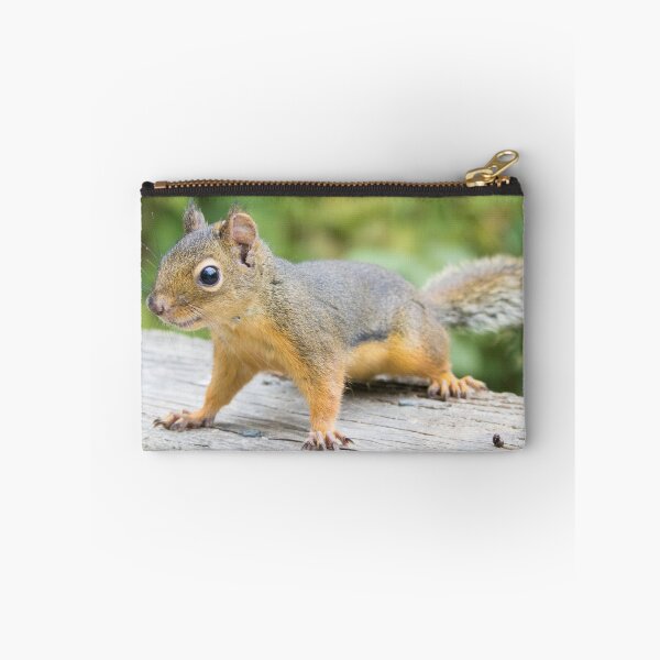 Item preview, Douglas Squirrel designed and sold by LaurenTucker.
