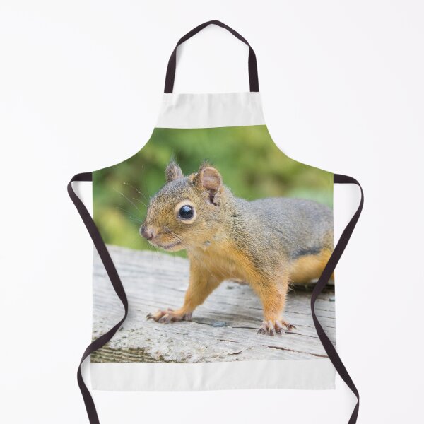 Item preview, Douglas Squirrel designed and sold by LaurenTucker.