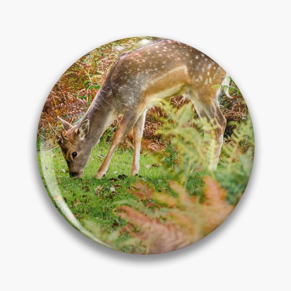 Item preview, Fallow Deer in Dartmoor National Park designed and sold by VnGphoto.