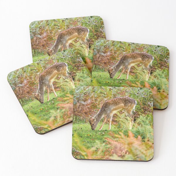 Item preview, Fallow Deer in Dartmoor National Park designed and sold by VnGphoto.