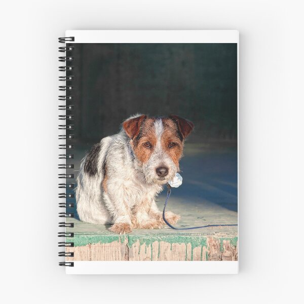 Item preview, Scruffy Little Dog designed and sold by Ann J. Sagel.