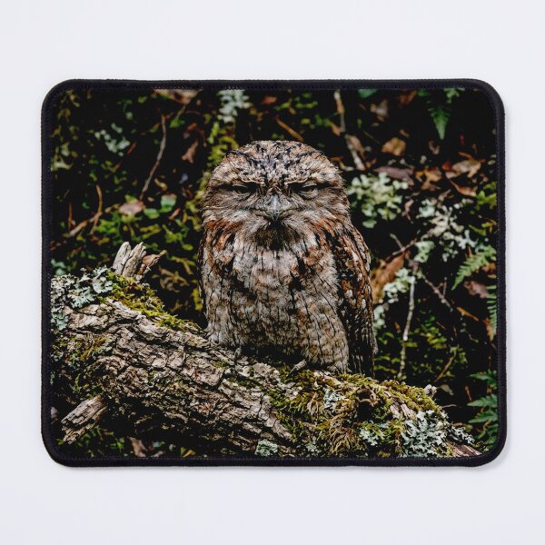 Item preview, Exotic Beautiful Birds - Tawny Frogmouth #2 designed and sold by Helios Be. Lavsh.