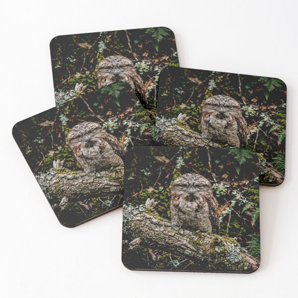 Item preview, Exotic Beautiful Birds - Tawny Frogmouth #2 designed and sold by Helios Be. Lavsh.