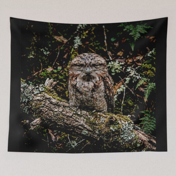 Item preview, Exotic Beautiful Birds - Tawny Frogmouth #2 designed and sold by Helios Be. Lavsh.
