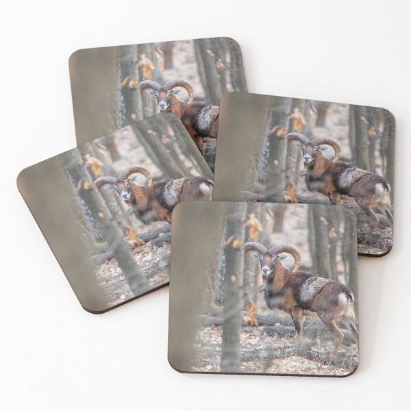 Item preview, Mouflon Ram in Winter Forest designed and sold by Medve Photography & Design.