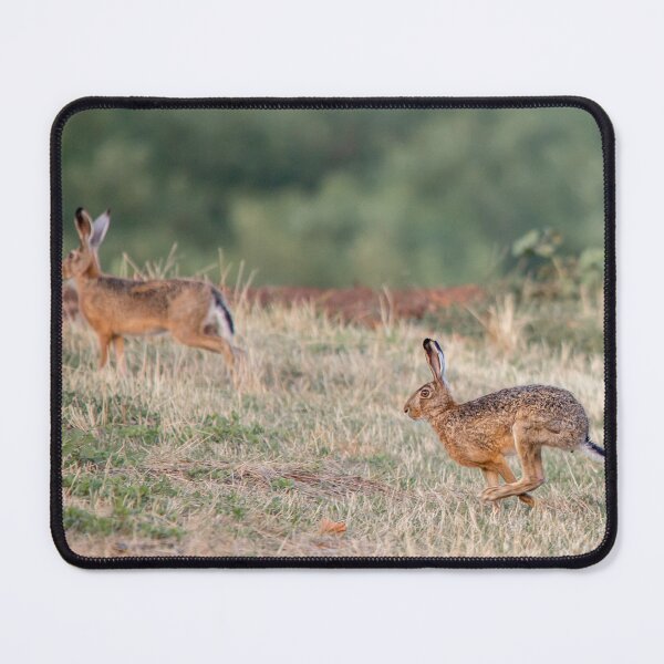 Item preview, European Hares on the Run designed and sold by gabormedve.
