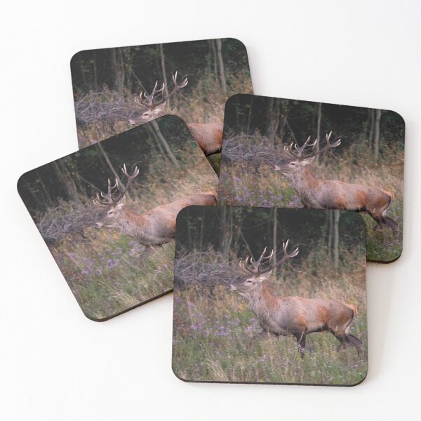 Item preview, Red Deer Stag in Wildflowers designed and sold by gabormedve.