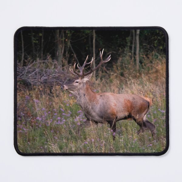 Item preview, Red Deer Stag in Wildflowers designed and sold by gabormedve.