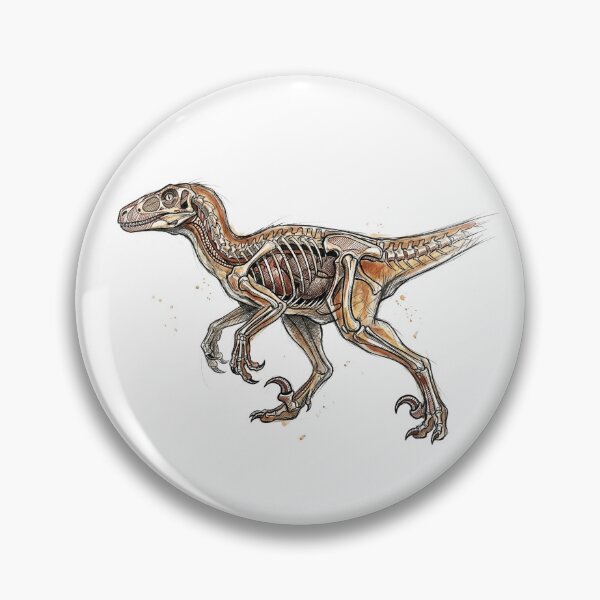 Artikelvorschau, Deinonychus-Skelettzeichnung: Historische paläontologische Illustration entworfen und verkauft von FreiherrPK.