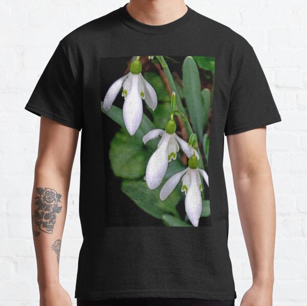 Pretty Snowdrop Trio............ Classic T-Shirt