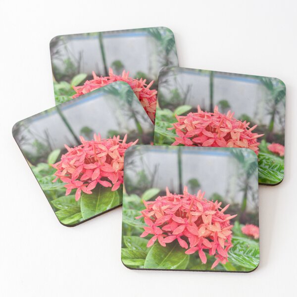 Item preview, Virbant Red Ixora Coccinea Blossoms designed and sold by lucatjang.