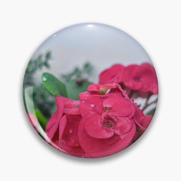 Item preview, Red Crown Of Thorns Flowers designed and sold by lucatjang.