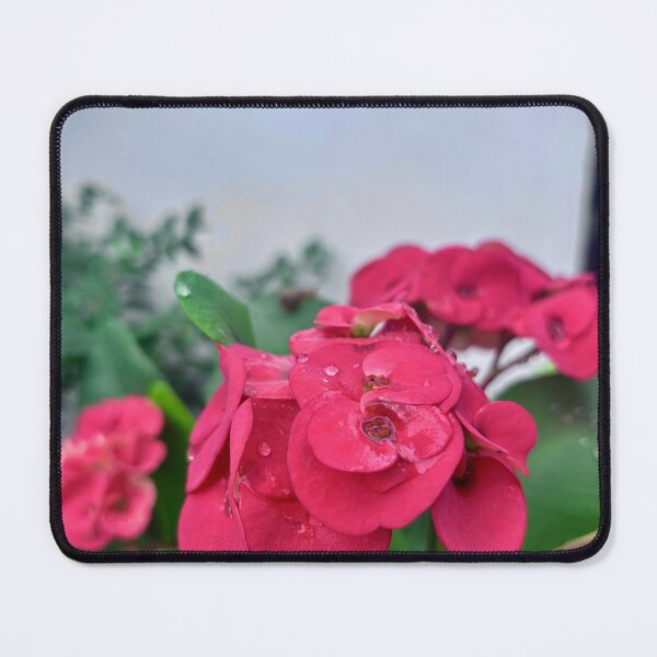 Item preview, Red Crown Of Thorns Flowers designed and sold by lucatjang.