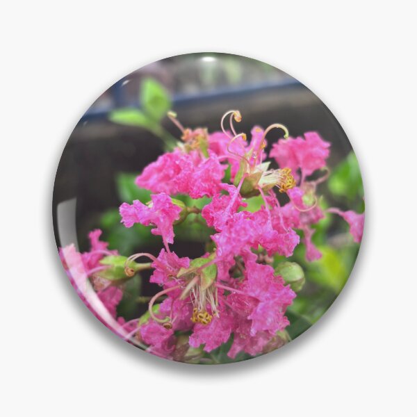 Item preview, Delicate Pink Crepe Myrtle Flower designed and sold by lucatjang.