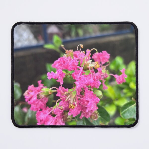 Item preview, Delicate Pink Crepe Myrtle Flower designed and sold by lucatjang.