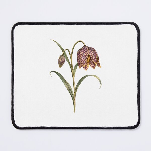 Item preview, Snake's Head Fritillary | Dark Academia Botanical Art | Spring Flower Gift designed and sold by Brackenlume Studio.