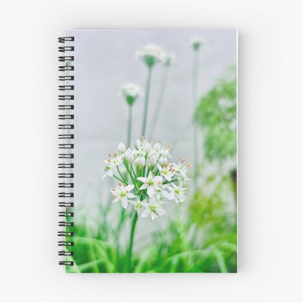 Item preview, Delicate White Garlic Chive Blossoms designed and sold by lucatjang.