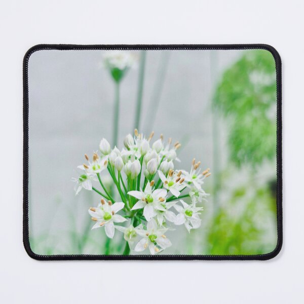 Item preview, Delicate White Garlic Chive Blossoms designed and sold by lucatjang.
