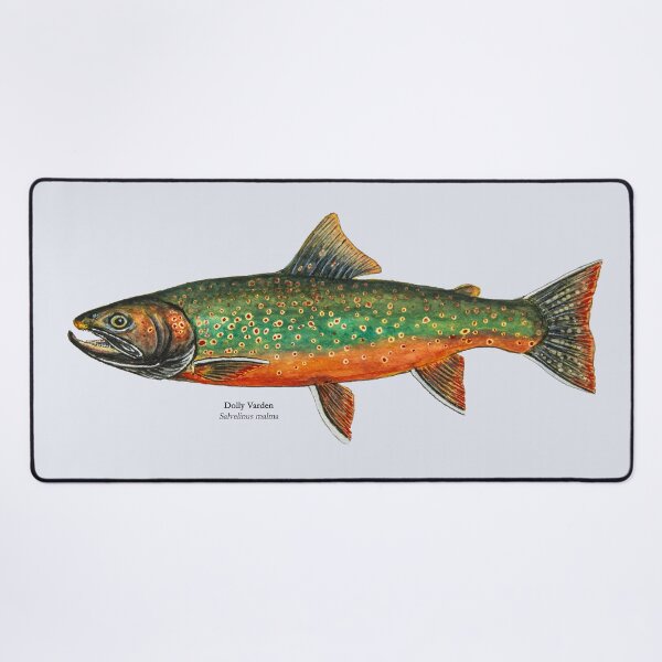 Item preview, Dolly Varden Painting designed and sold by Stephen Emms.