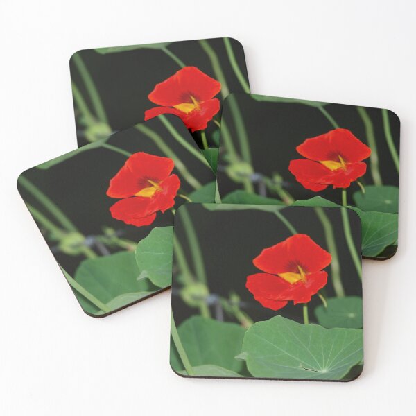 Item preview, Nasturtium Cushion  designed and sold by ginnymac.