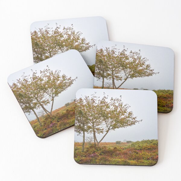Item preview, Rowan Trees in Misty Dartmoor designed and sold by VnGphoto.