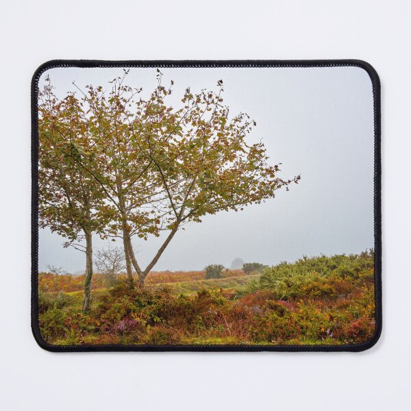 Item preview, Rowan Trees in Misty Dartmoor designed and sold by VnGphoto.