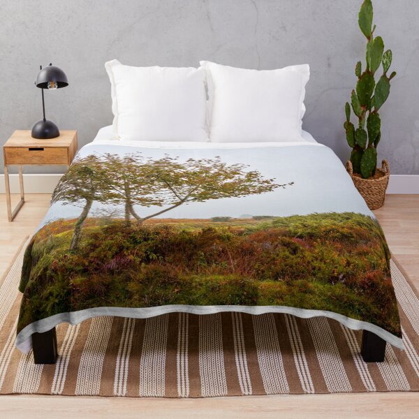 Item preview, Rowan Trees in Misty Dartmoor designed and sold by VnGphoto.