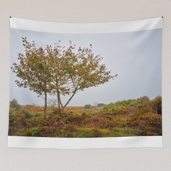 Item preview, Rowan Trees in Misty Dartmoor designed and sold by VnGphoto.