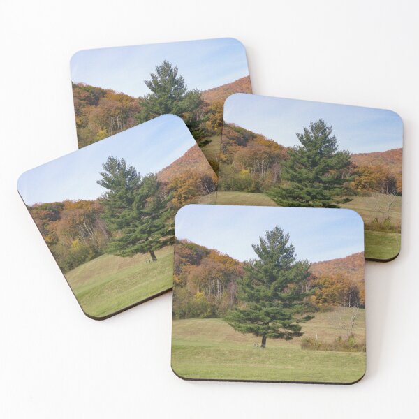 Item preview, Tire Swing II designed and sold by OHPhotography.