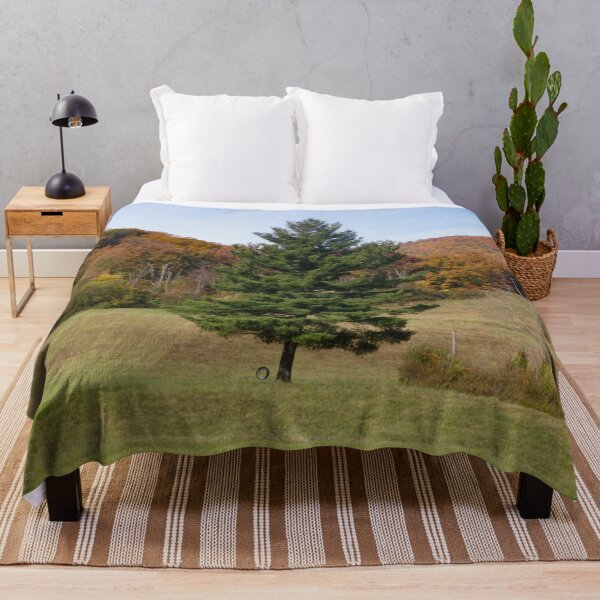 Item preview, Tire Swing II designed and sold by OHPhotography.
