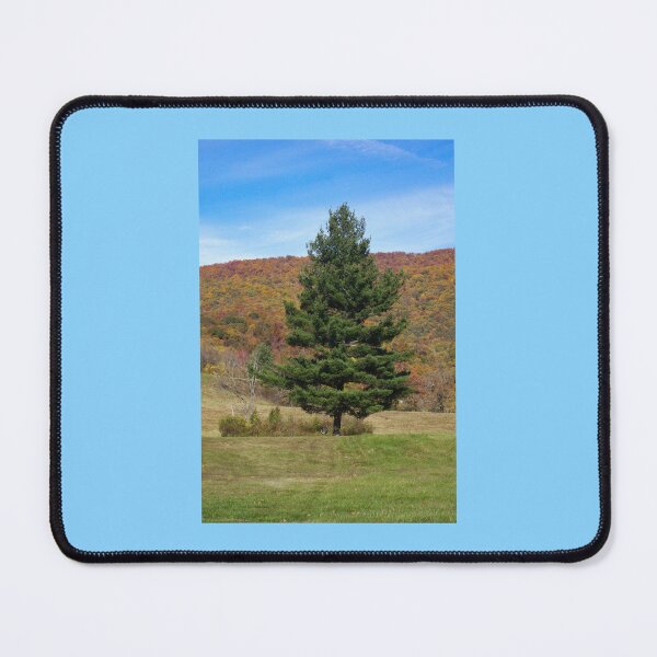 Item preview, Tire Swing IV designed and sold by OHPhotography.