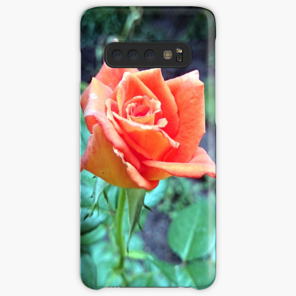 Rose Hülle & Klebefolie für Samsung Galaxy