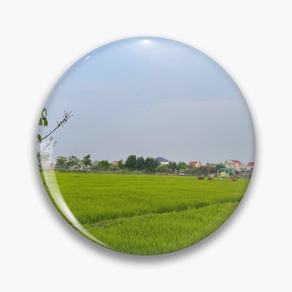 Item preview, Endless Green Rice Fields Under Soft Blue Sky designed and sold by lamlamds.