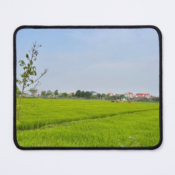 Item preview, Endless Green Rice Fields Under Soft Blue Sky designed and sold by lamlamds.