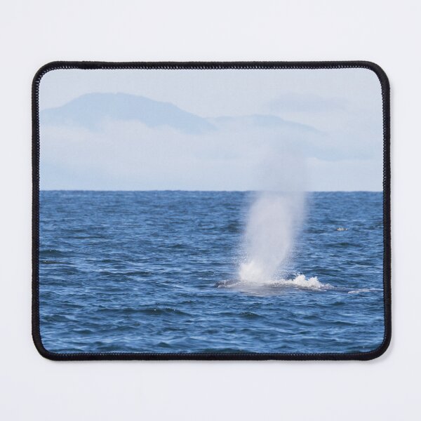 Item preview, Humpback Whale designed and sold by LaurenTucker.