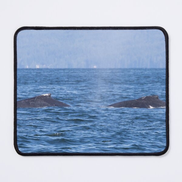 Item preview, Humpback Whale designed and sold by LaurenTucker.