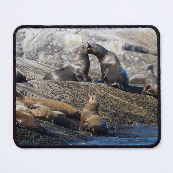 Item preview, Steller Sea Lion designed and sold by LaurenTucker.