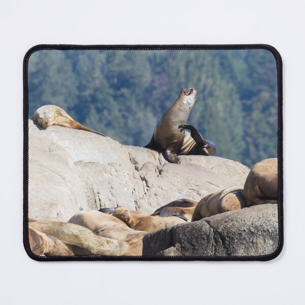 Item preview, Steller Sea Lion designed and sold by LaurenTucker.