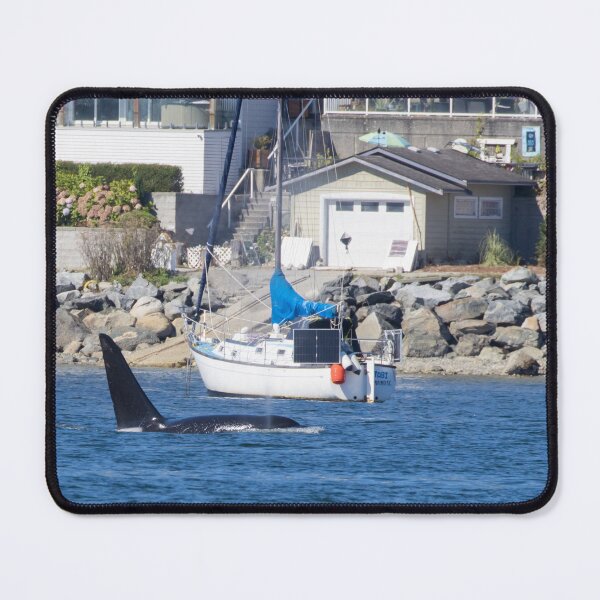 Item preview, Killer Whale designed and sold by LaurenTucker.
