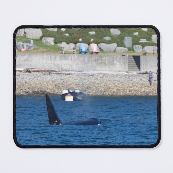 Item preview, Killer Whale designed and sold by LaurenTucker.