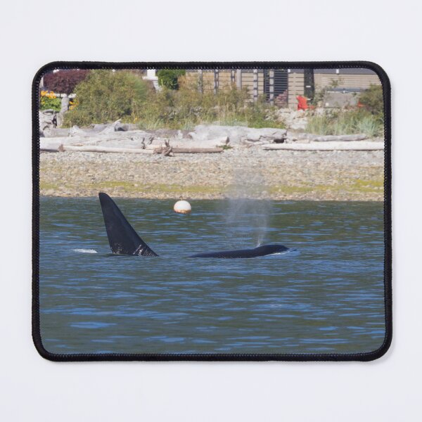 Item preview, Killer Whale designed and sold by LaurenTucker.