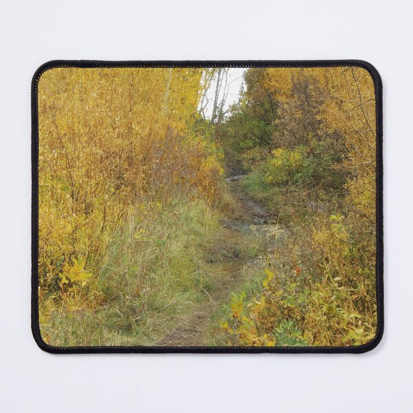 Item preview, Autumn Forest Pathway designed and sold by Robert Ball.