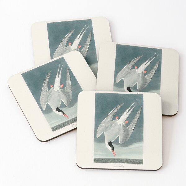 Item preview, Arctic Tern by John James Audubon designed and sold by Amanda1775.