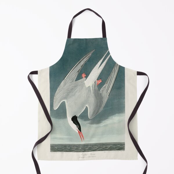 Item preview, Arctic Tern by John James Audubon designed and sold by Amanda1775.