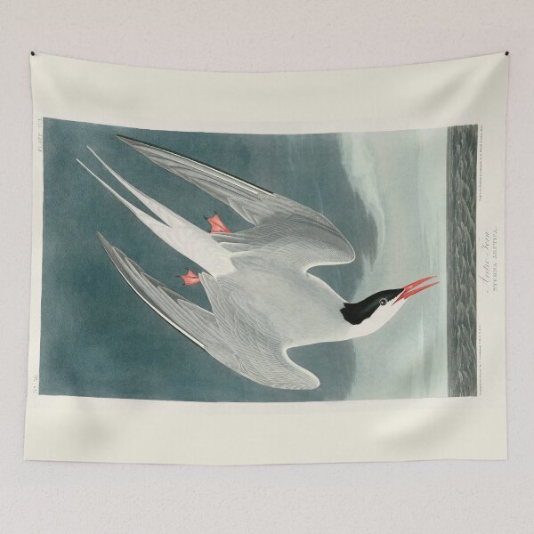 Item preview, Arctic Tern by John James Audubon designed and sold by Amanda1775.