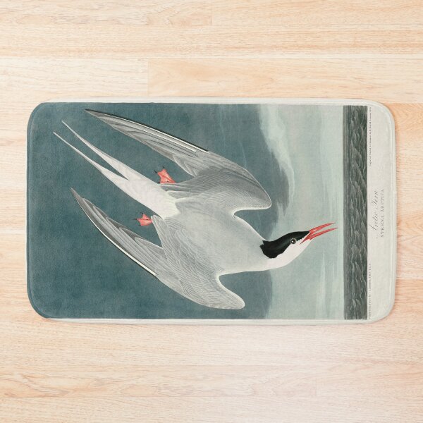 Item preview, Arctic Tern by John James Audubon designed and sold by Amanda1775.