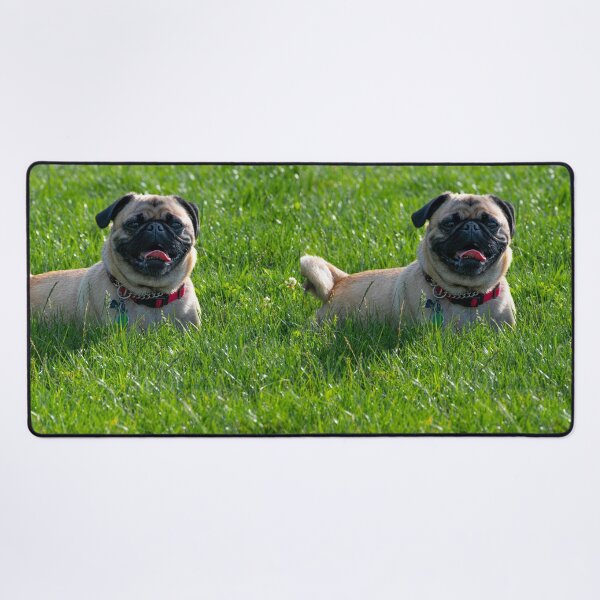 Item preview, Happy Pug Dog Sitting In Grass designed and sold by VanGaldo.